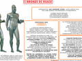 19-i-bronzi-di-riace