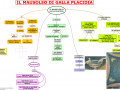 18. IL MAUSOLEO DI GALLA PLACIDA