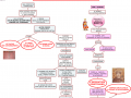 02-dalle-consuetudine-al-diritto