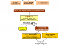 10.-LA-FINE-DELLA-SUPREMAZIA-FRANCESE