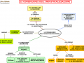 03.-CONSEGUENZE-DELL-INDUSTRIALIZZAZIONE