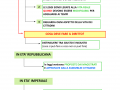 06.-L’invenzione-del-diritto