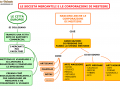 02. LE SOCIETA MERCANTILI