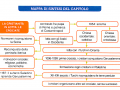 LE CROCIATE mappa riassuntiva