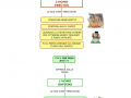 06. L' HOMO ERECTUS E  SAPIENS