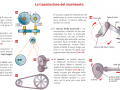 07-la-trasmissione-del-movimento