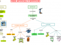 10. FIBRE ARTIFICIALI E SINTETICHE mappa facilitata