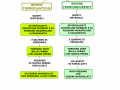 03. LA CLASSIFICAZIONE DELLE MATERIE PLASTICHE