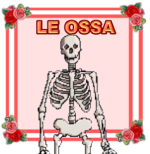 LE-OSSA