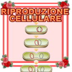 RIPRODUZIONE CELLULARE