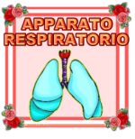 apparatorespiratorio