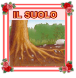 ilsuolo