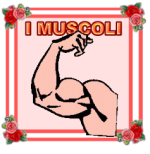 imuscoli