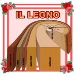 IL LEGNO