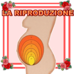 LA-RIPRODUZIONE-150x150