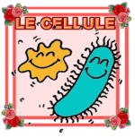 LE-CELLULE