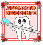 apparatodigerente