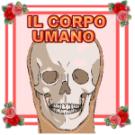 ilcorpoumano