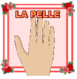 lapelle