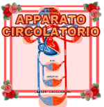 APPARATO CIRC