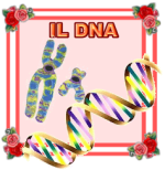 IL DNA