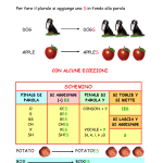 IL PLURALE DEI NOMI E DEI VERBI
