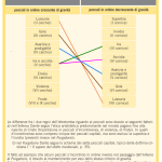 INFERNO E PURGTORIO A CONFRONTO